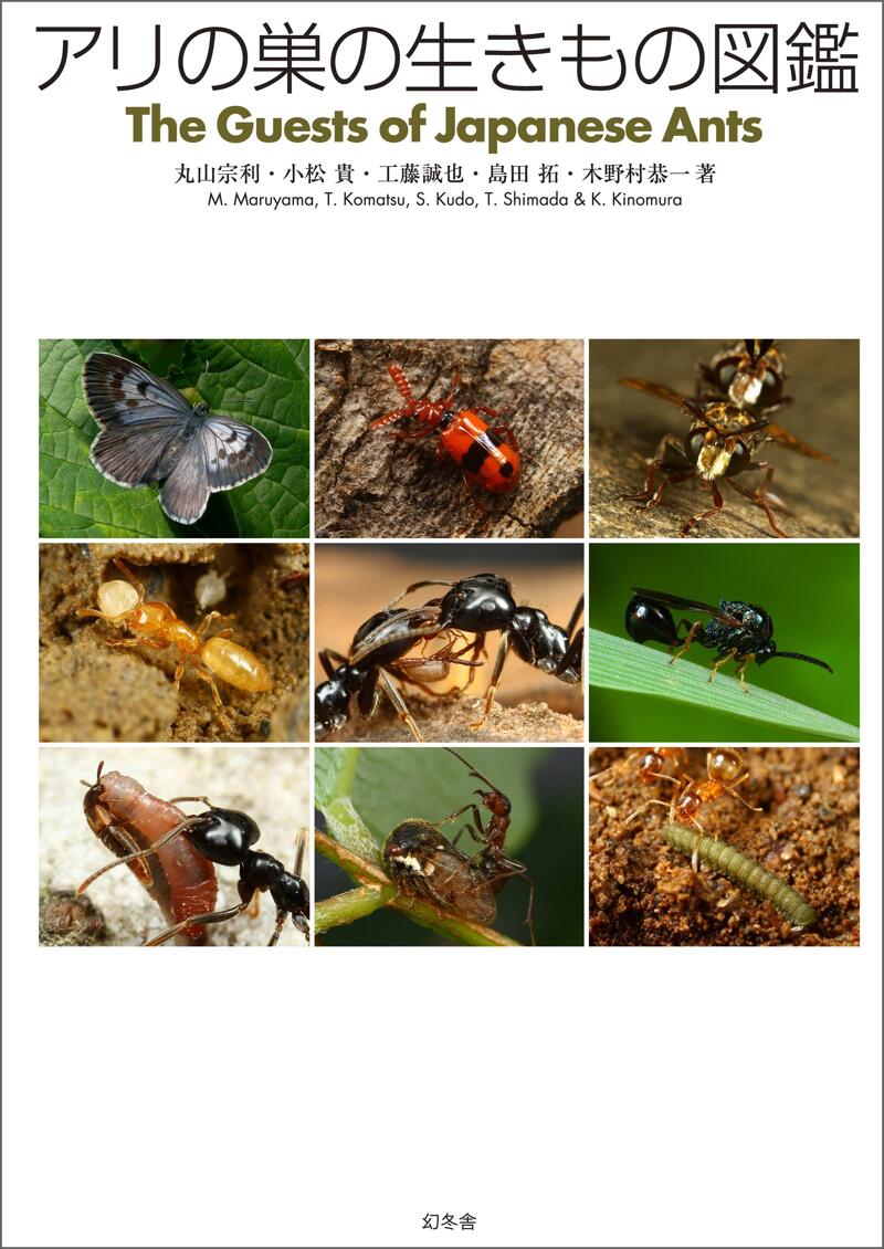 アリの巣の生きもの図鑑-