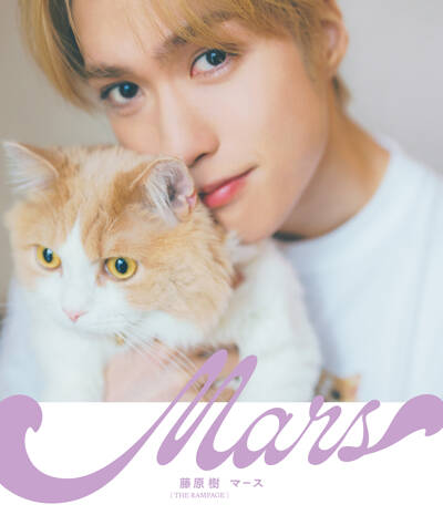 藤原樹 七夕クッション 駿河屋 - 【買取】藤原樹(THE RAMPAGE) アザー