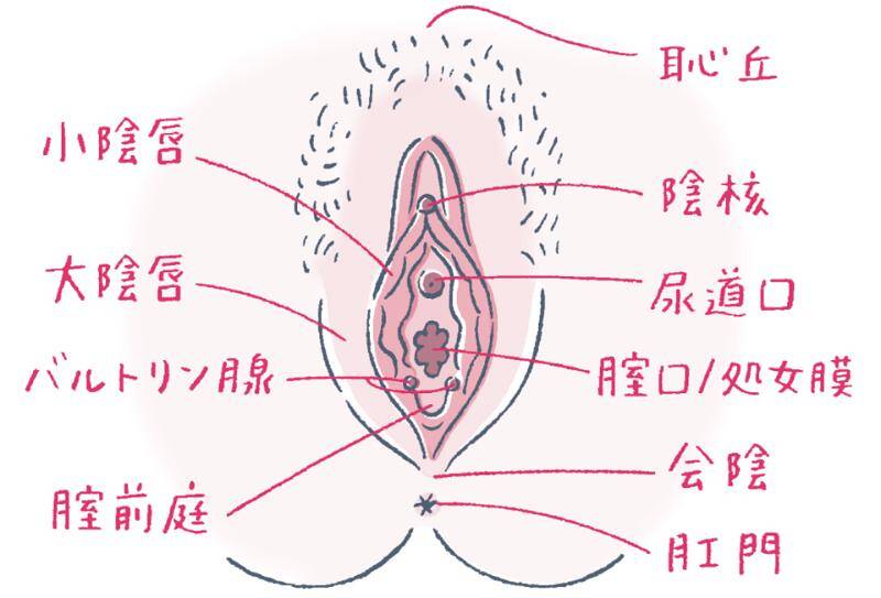 風俗 ボディソープ 尿道 痛い